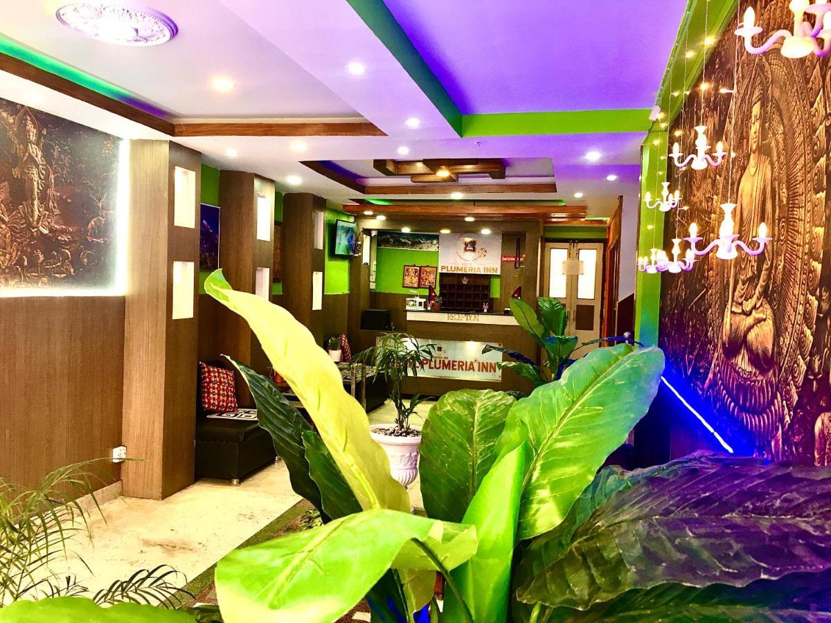 Hotel Plumeria Inn 加德满都 外观 照片