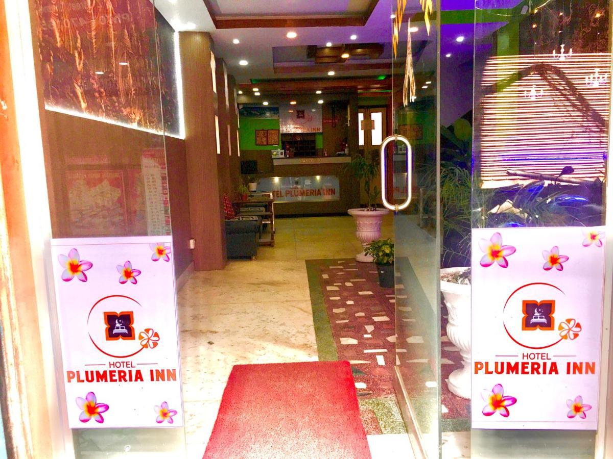 Hotel Plumeria Inn 加德满都 外观 照片